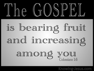 Colossians 1:6 The Gospel Which Has Come To You (gray)